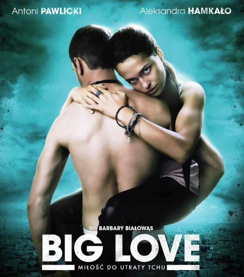 Big Love (2012)