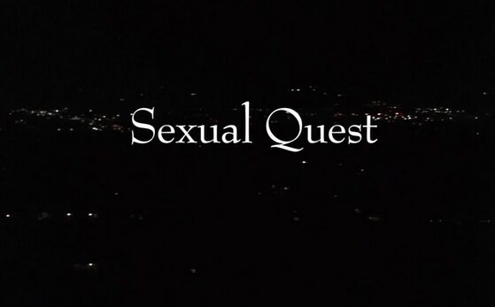 Sexual Quest (2011)