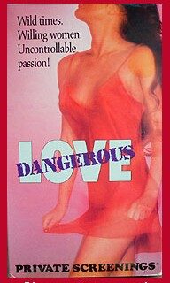 Dangerous Love (1981)