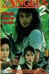 Fighting Madam 2 (1988)