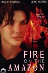 Fire on the Amazon (1993)