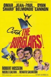 The Burglars (1971)