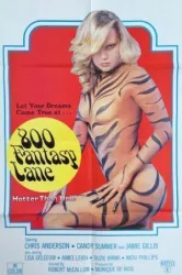 800 Fantasy Lane (1979)