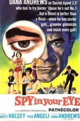 Spy in Your Eye (1965)