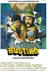 Busting (1974)