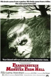 Frankenstein and the Monster from Hell (1974)