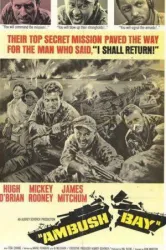 Ambush Bay (1966)