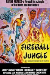 Fireball Jungle (1968)