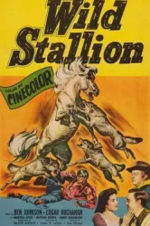 Wild Stallion (1952)