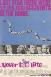 Never Too Late (1965)