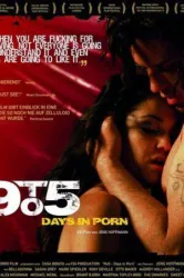 9 to 5: Days in Porn (2008)