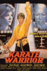 Karate Warrior (1987)