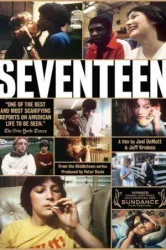 Seventeen (1983)