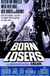 The Born Losers (1967)