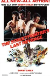 The Streetfighters Last Revenge (1974)