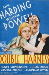 Double Harness (1933)