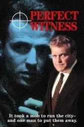 Perfect Witness (1989)