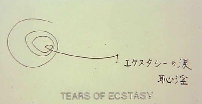 Tears of Ecstasy (1995)