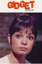 Gidget Grows Up (1969)