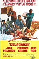 Kill a Dragon (1967)