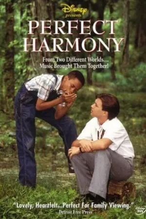 Perfect Harmony (1991)